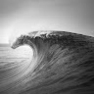 Meet your Posher, Garrett